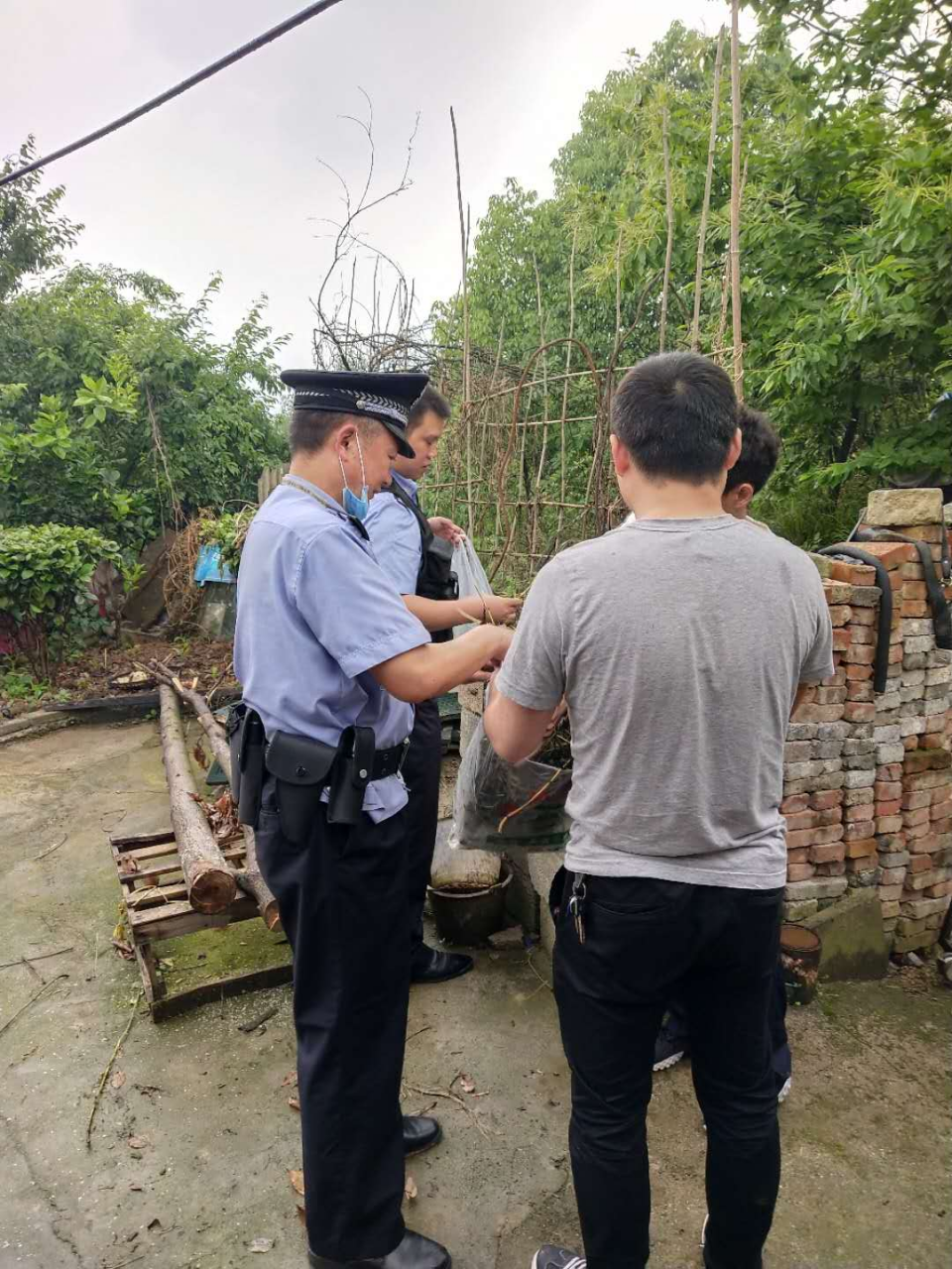 图片3.png